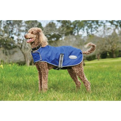 weatherbeeta dog coats petbarn