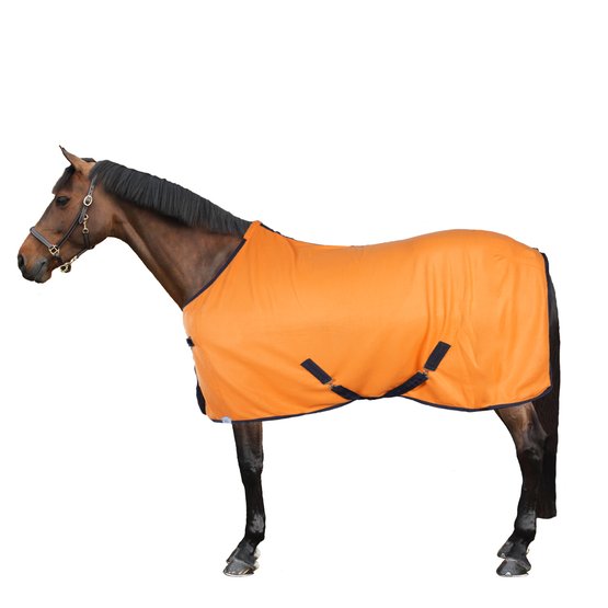heel fijn Kameel Klas Harry's Horse Fleecedeken Colours Oranje - Agradi.nl