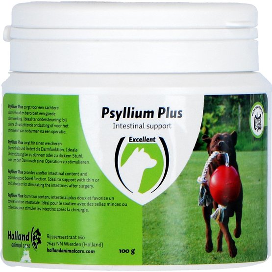 Psyllium for outlet dogs