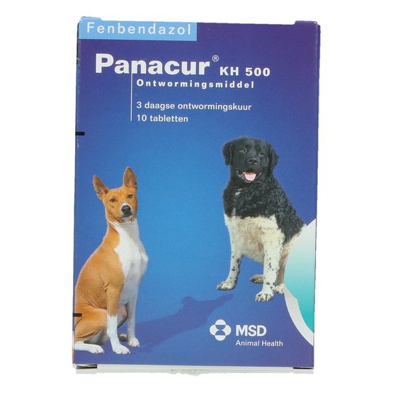 Giardia Treatment For Dogs Panacur Bruin Blog