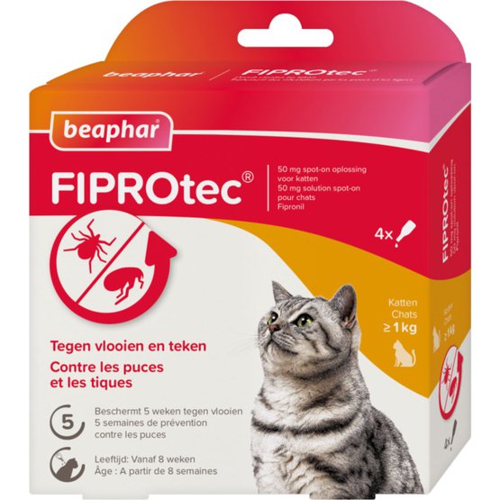 Diplomaat drie Perth Beaphar FiproTec Cat Spot-On Katten/Kittens >1kg 4 Pipetten - Agradi.nl
