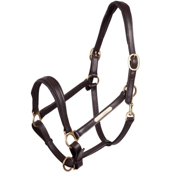 Choose Size Brown Fully Adjustable Leather Headcollar 