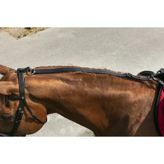 Norton Side Rein Adjustable Elastic Black