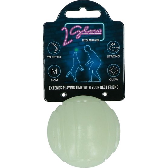 Fetch and clearance glow dog ball