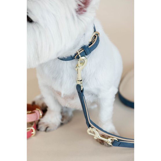 Kentucky Dogwear - La laisse chien vegan leather navy/beige 250cm en 2023