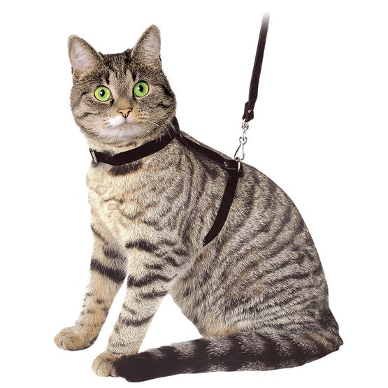 Kerbl Cat Harness with Leash Black 120cm