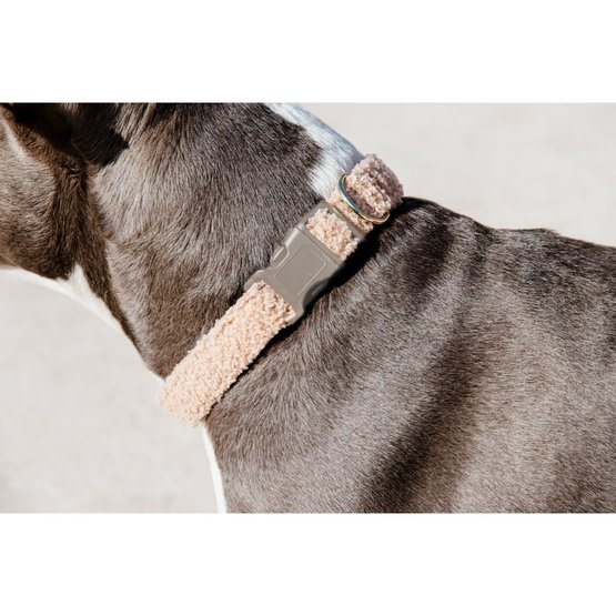 Kentucky Dog Collar Pied de Poule Beige
