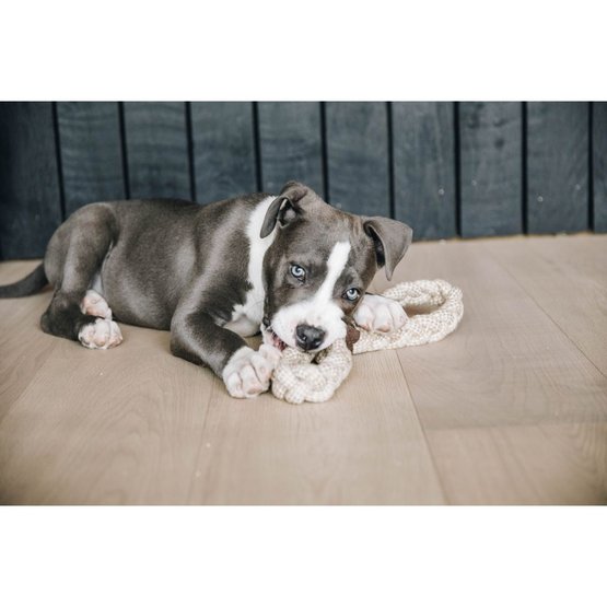 Pitbull rope outlet toy