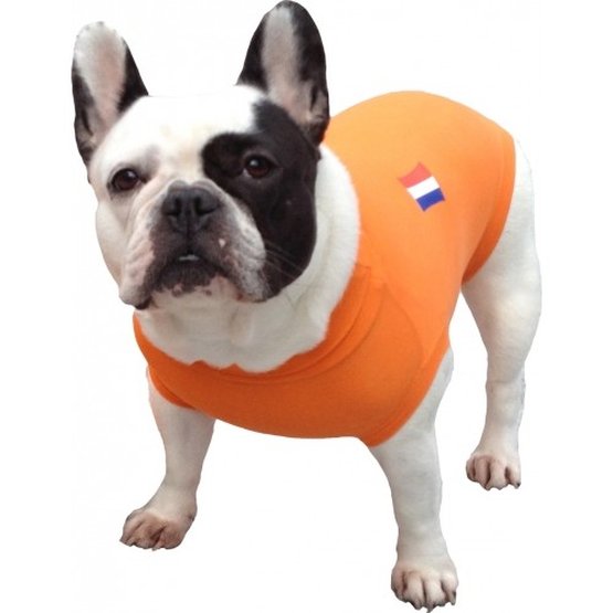 wij cement zwaartekracht Medical Pet Shirt Hond Oranje - Agradi.nl