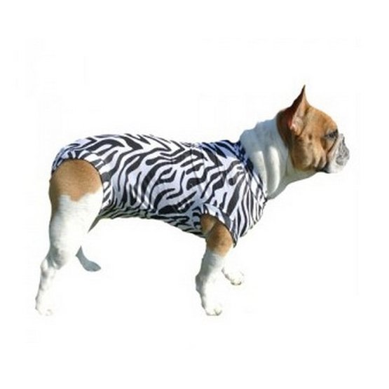 Parelachtig onder Gehuurd Medical Pet Shirt Hond Zebra - Agradi.nl