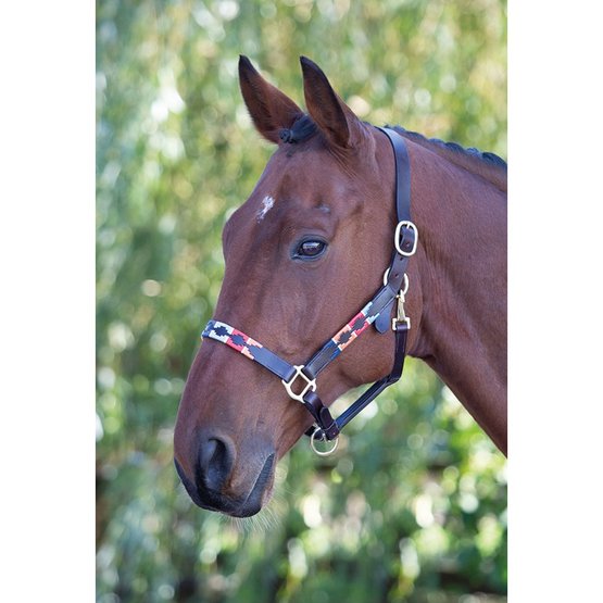 Polo Beige/ Turquoise Leather Pony Headcollar FREE UK Postage
