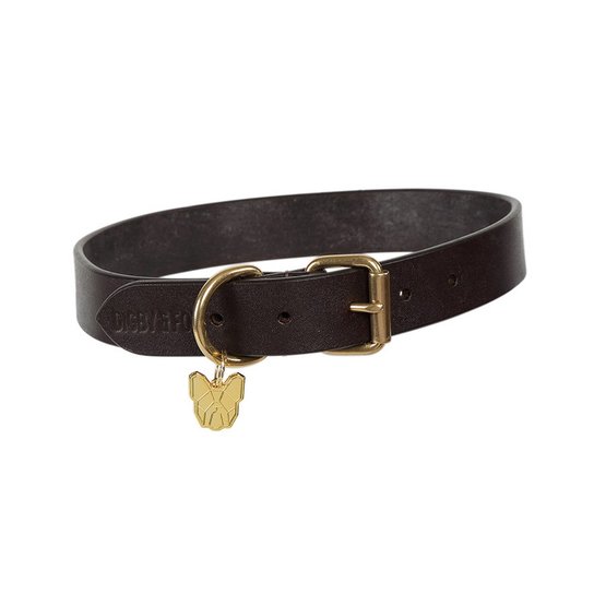 flat dog collar